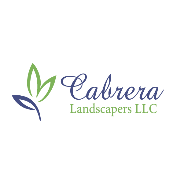 Logo for Cabrera Landscapers LLC, featuring stylized green and blue leaves and elegant text.